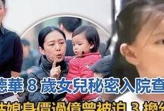 晨妈最新消息爆料,揭秘娱乐圈最新动态