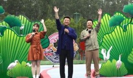 农民阿老最新爆料视频,揭秘农村现状，农民心声引关注