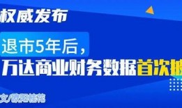 万达最新数据爆料,业绩增长背后的秘密与挑战